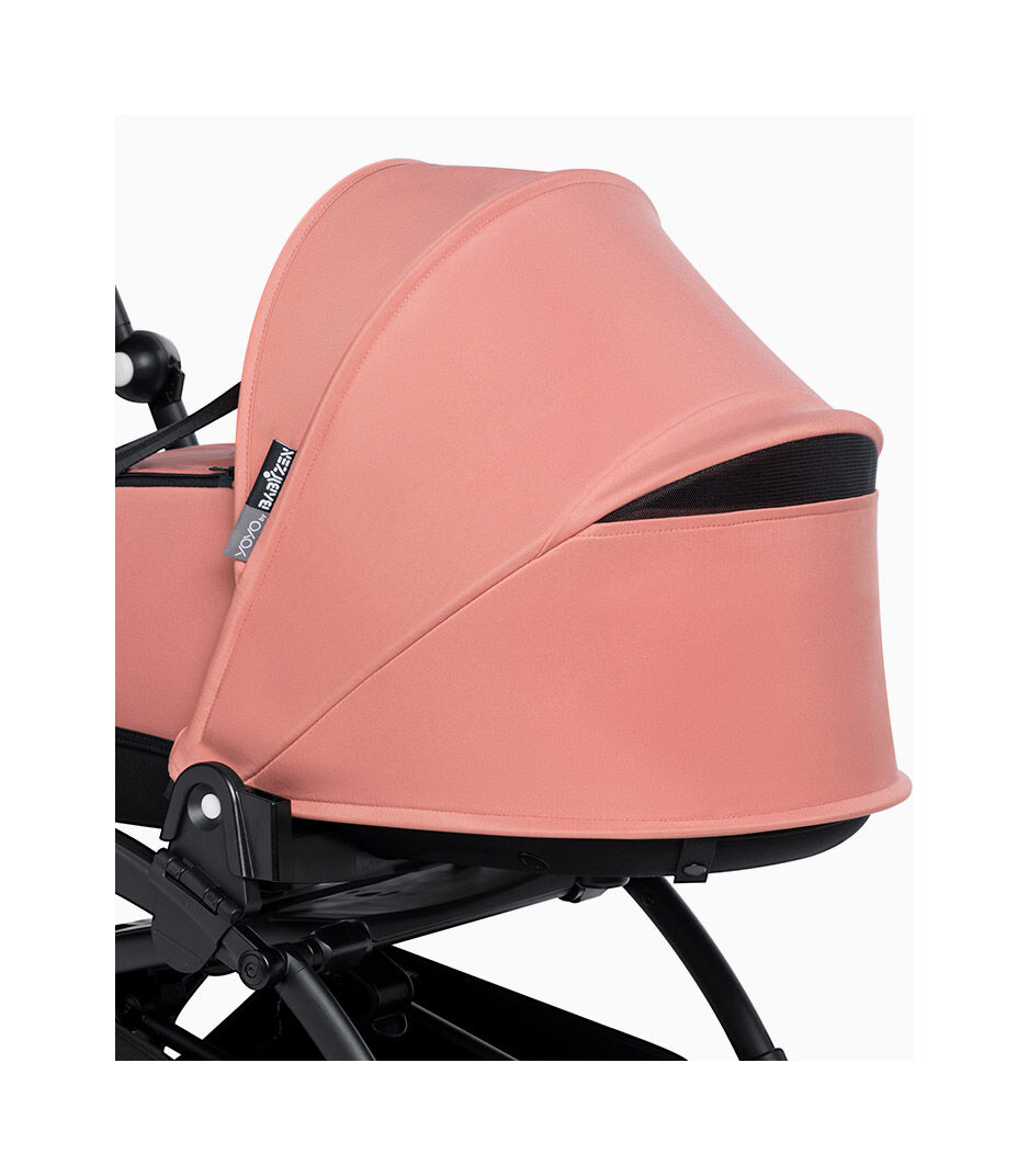 YOYO 睡篮, Ginger, mainview 图库图像 3